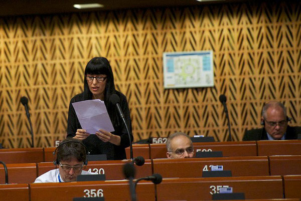 The statements voiced in the PACE about occupation of Karabakh was just a reference made to another report