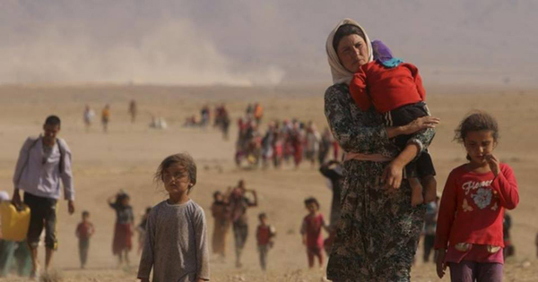 Iraq is emptied by Yezidis. Sinjar is not completely liberated