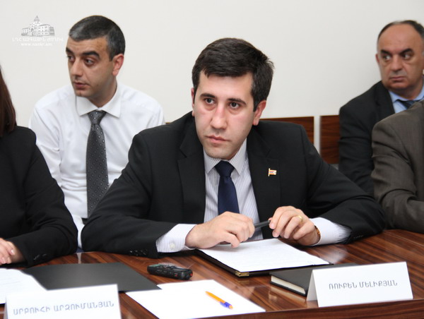 “Any initiative must be applied to the Artsakh authorities”. Artsakh HRD