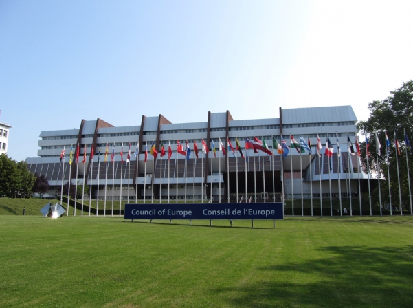 Situation in Turkey: statement by PACE Committee on Political Affairs