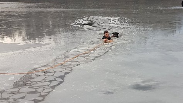 Vancouver police officer jumps into frozen Lost Lagoon to save dog