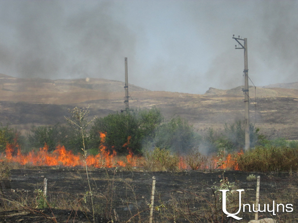 Fields, fruit-trees, and non-fruit-trees burnt in Tavush