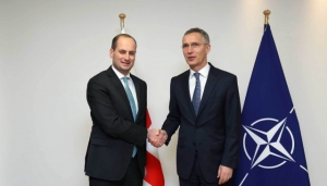 Georgia’s Foreign Minister meets NATO Secretary General – Georgia Today