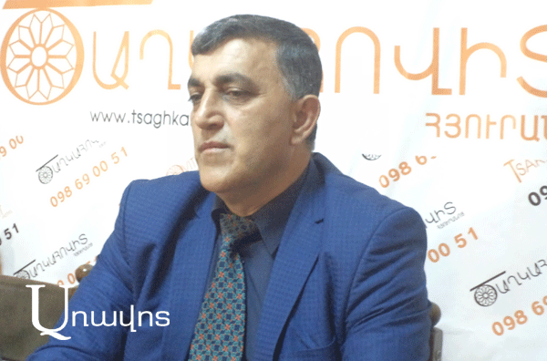‘Artsakh movement is not to blame for this situation in our country today’: historian