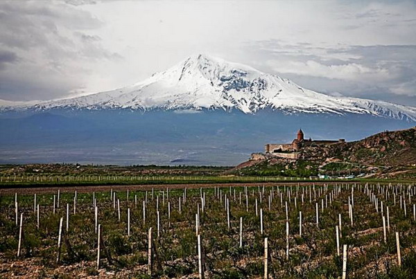 Exploring The World Of Armenian Brandy: Forbes