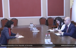 Armen Ashotyan: We should present state interest of Armenia in the international arena together