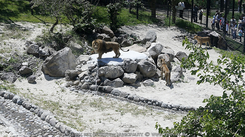 Yerevan Zoo opens doors after renovation
