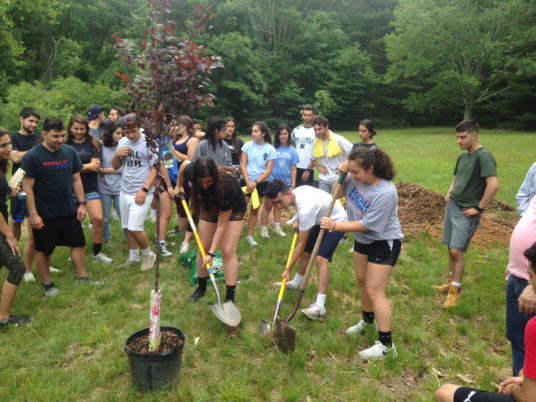 Camp Haiastan partners with ATP to plant new trees on picnic grounds