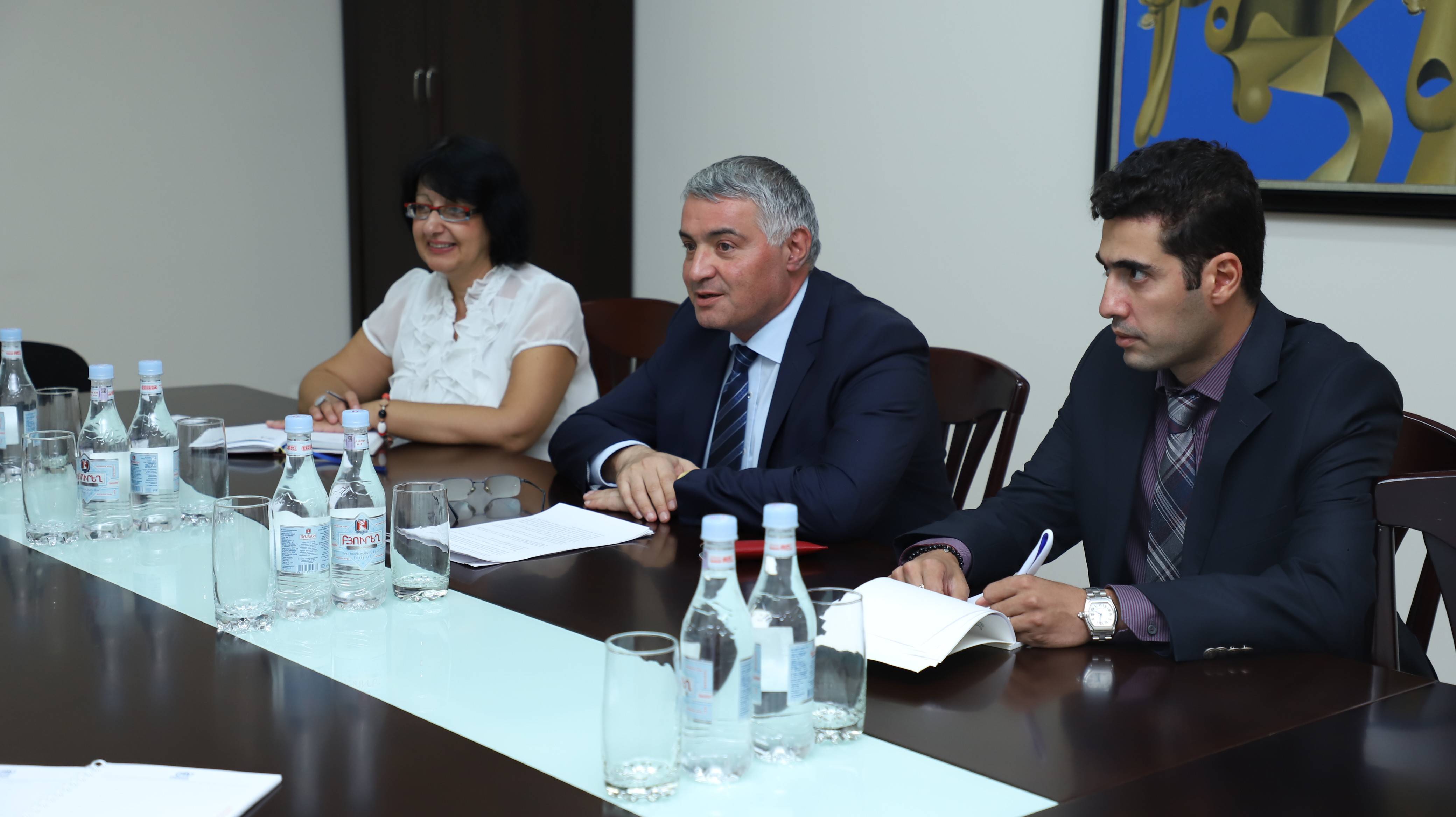 The meeting of Deputy Foreign Minister of Armenia Ashot Hovakimyan with newly appointed head of UNHCR Armenia office Anna-Carin Öst
