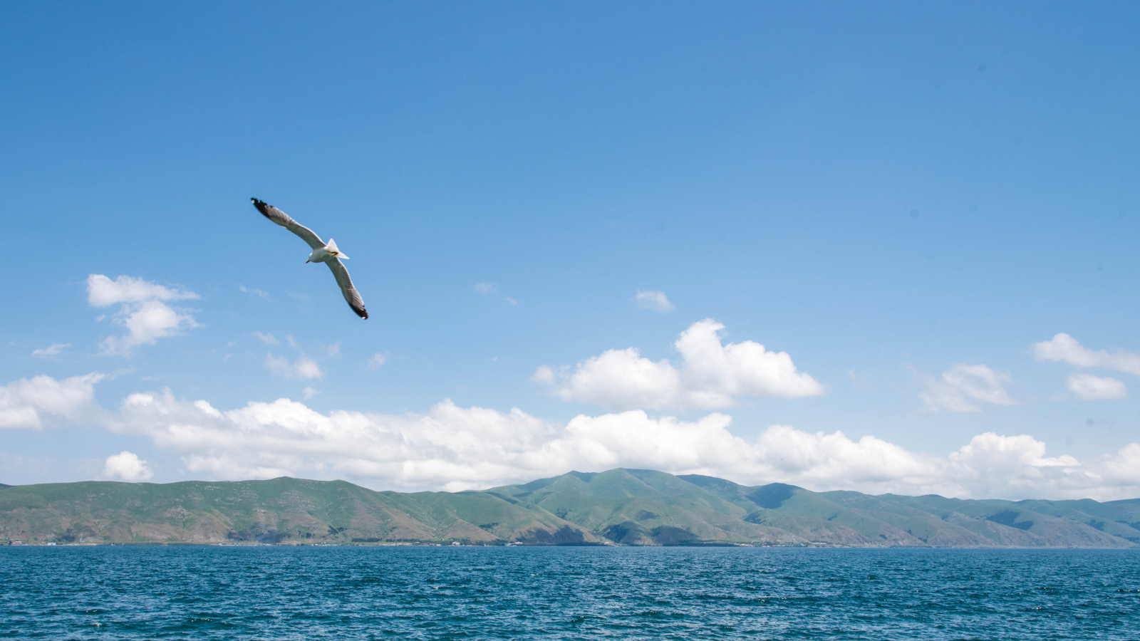 EU water management project to participate in national policy dialogue on Armenian water sector