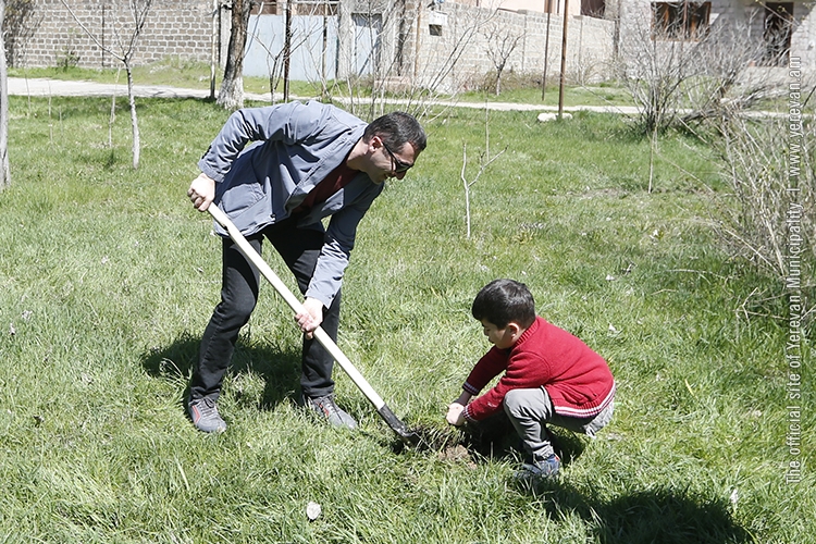 On April 13, nearly 7500 trees and bushes to be planted in Yerevan
