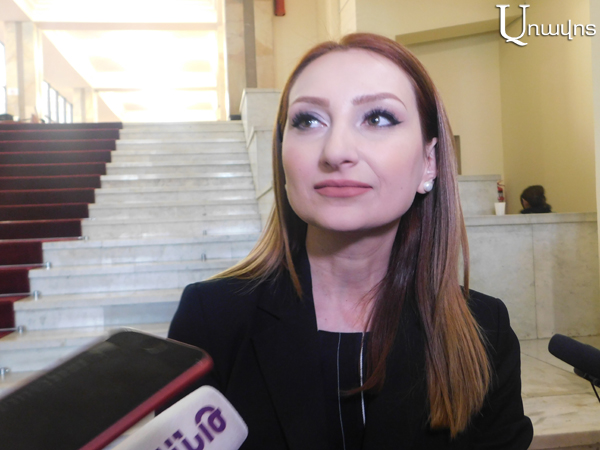 There will not be a new project for vetting: Lilit Makunts