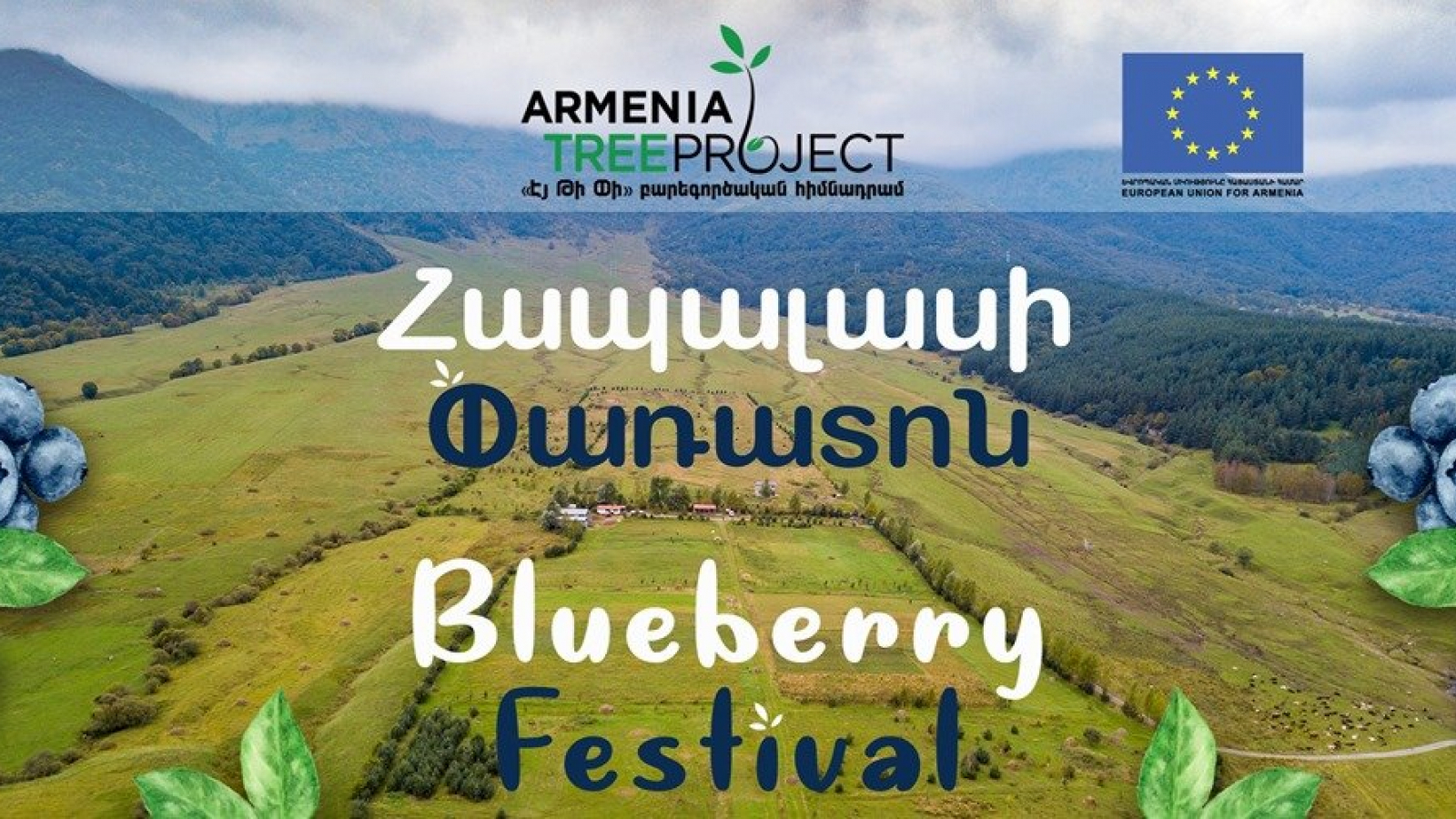 Armenia to host blueberry festival