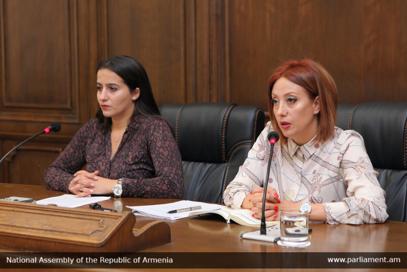 Results of the International Parliamentary Seminar on Media Freedom presented