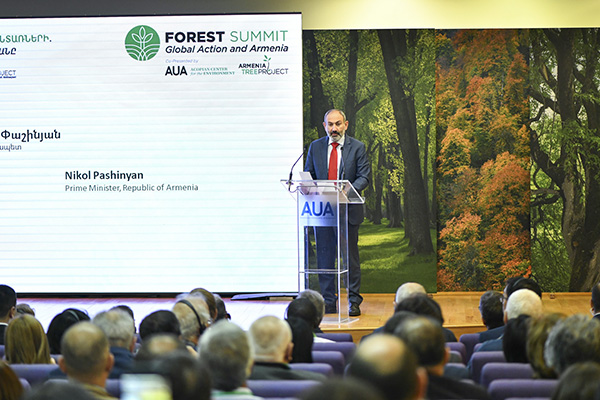 PM: “The Government of Armenia has a strong commitment and political will to preserve, restore and expand forests”