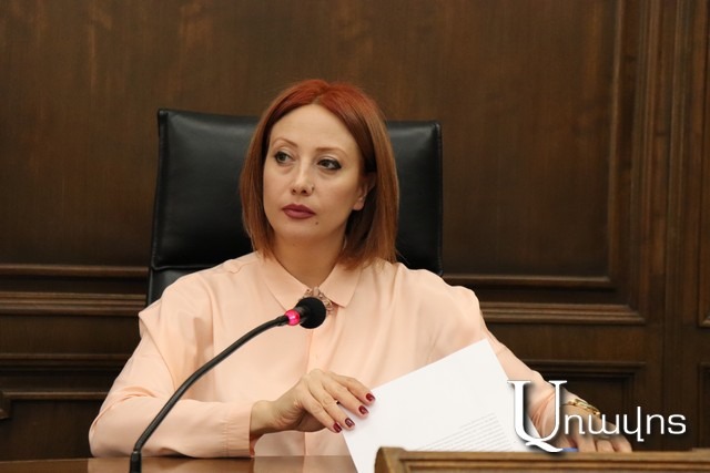 Gayane Abrahamyan fought against sale of weapons to Azerbaijan in the Czech Republic and received assurance that such transactions will not take place
