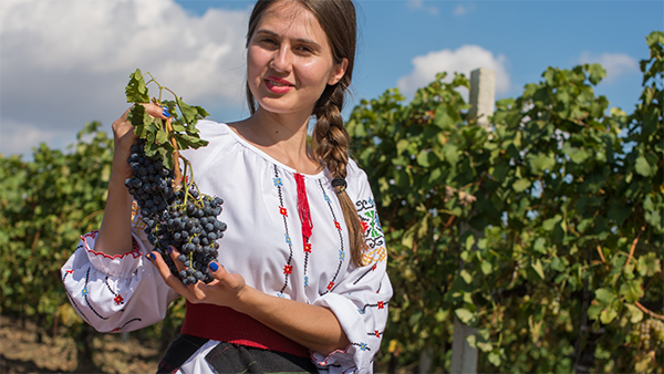 Wine making municipalities from Eastern Neighbourhood countries meet in Moldova to exchange best practices