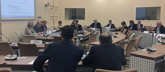 Committee reviews progress of States under monitoring in 2019