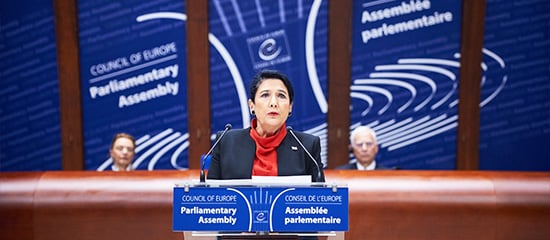 Salome Zurabichvili: ‘Georgia has consolidated its democratic institutions’
