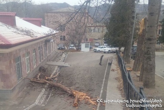 As a result of strong wind, the tree fell on the roof of Medical Center of Berd town