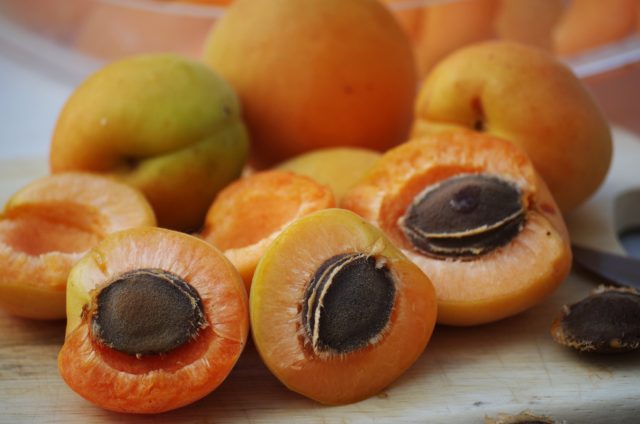 Discussions underway for Apricot Festival to be held in Ararat province