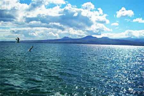 118 million AMD will be allocated for the implementation of the measure aimed at cleaning the waterlogged woodlands of the Lake Sevan