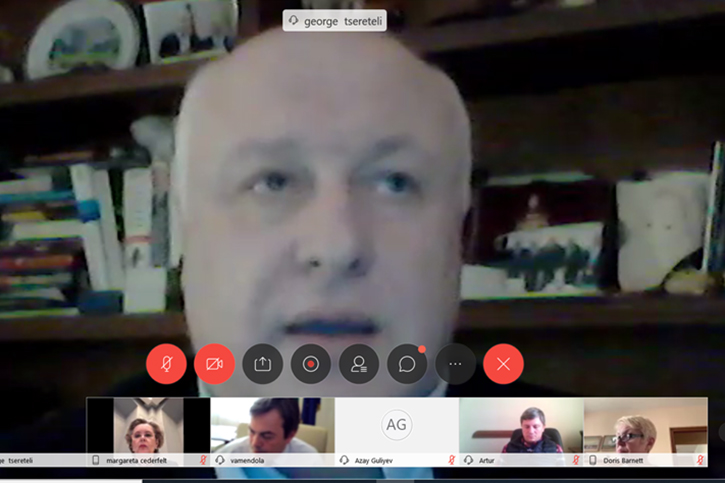 George Tsereteli addresses the online meeting of the Assembly's leadership, 8 April 2020.