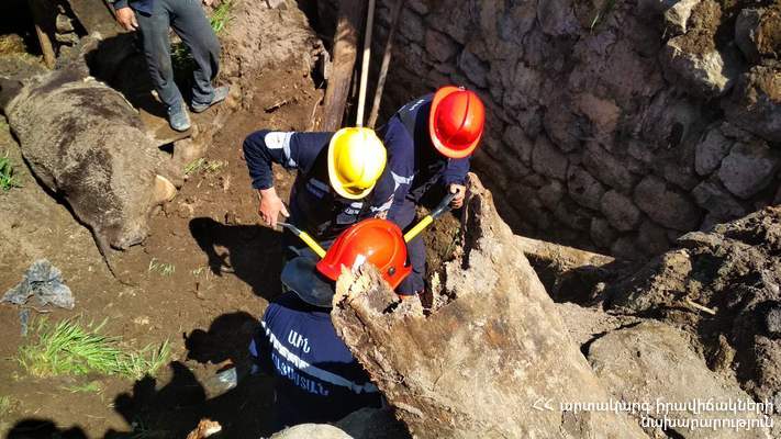 The rescuers discovered two dead animals under the land layer