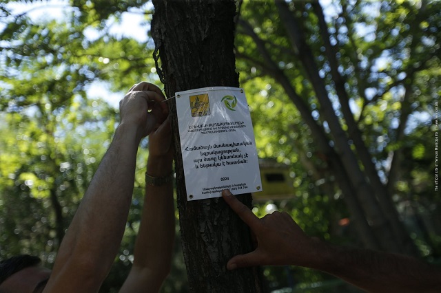 Before cutting down ill trees special notices are stuck on those trees
