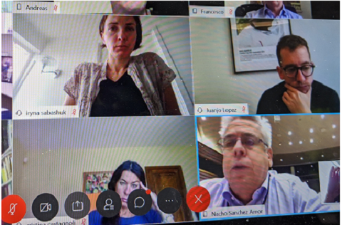 Nacho Sanchez Amor (bottom right) participates in online discussion about election observation, 9 July 2020