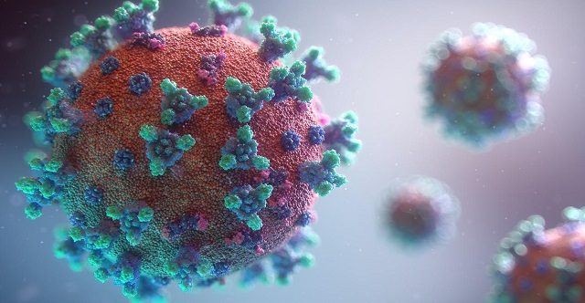 Coronavirus: Commission proposes to provide €81.4 billion in financial support for 15 Member States under SURE