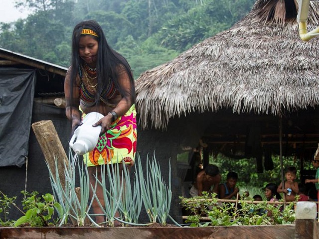Protecting Indigenous Peoples is pursuing a better world