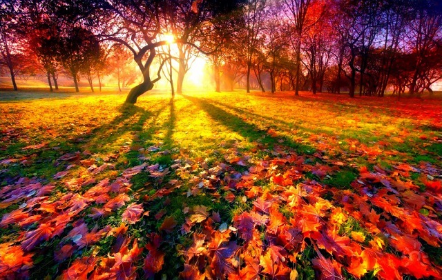 The air temperature in the daytime of October 9, on 10-14 will gradually go up by 5-7 degrees
