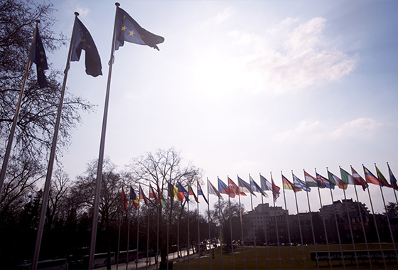 New procedure for selecting which Council of Europe states should face ‘periodic review’