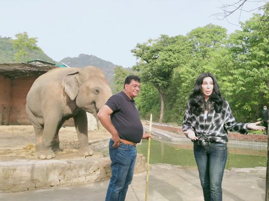 Singer Cher helps rescue the ‘world’s loneliest elephant’ after decades in captivity