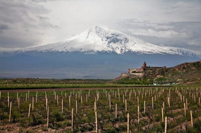 Discovering the wines of Armenia
