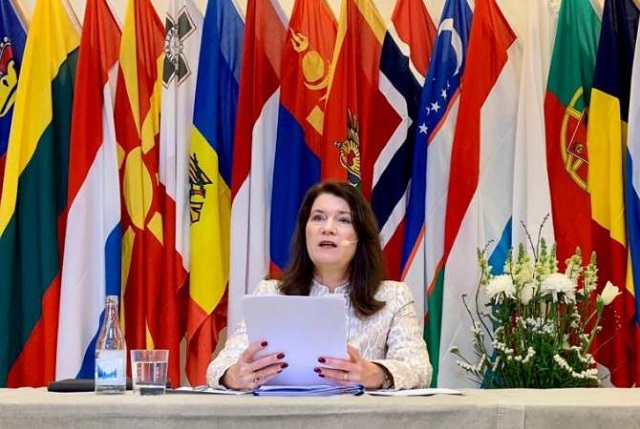 Chairperson-in-Office Ann Linde presents Sweden’s 2021 priorities to Permanent Council