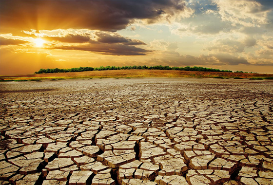 Developing ‘climate resilience’ in the face of global warming through the rule of law