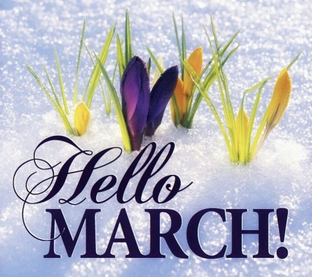 In the daytime of March 2-6 the air temperature will gradually go up by 6-8 degrees
