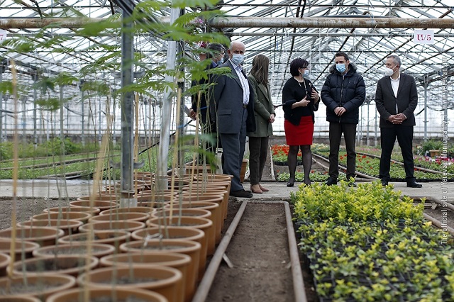 «We aim to make city greenhouses fully meet Yerevan’s demand”: Hayk Marutyan