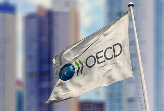 Fighting fiscal injustice through the OECD action plan and multilateral co-operation