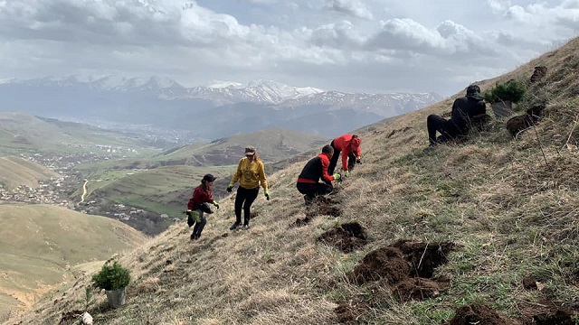 Planting hope in rural Armenia