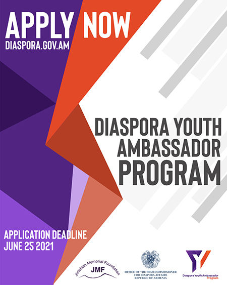 Our Diaspora Youth Ambassador Program Has Launched