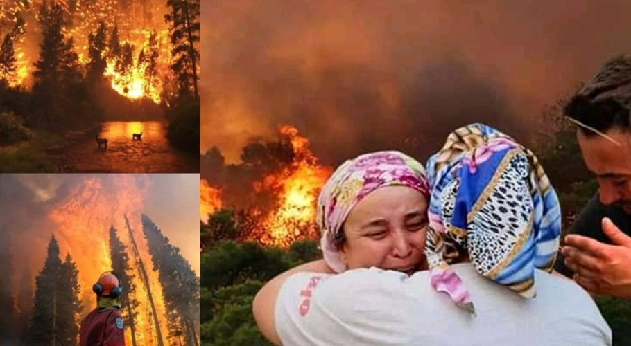 Turkey’s Erdogan declares the fire-affected regions “disaster areas”