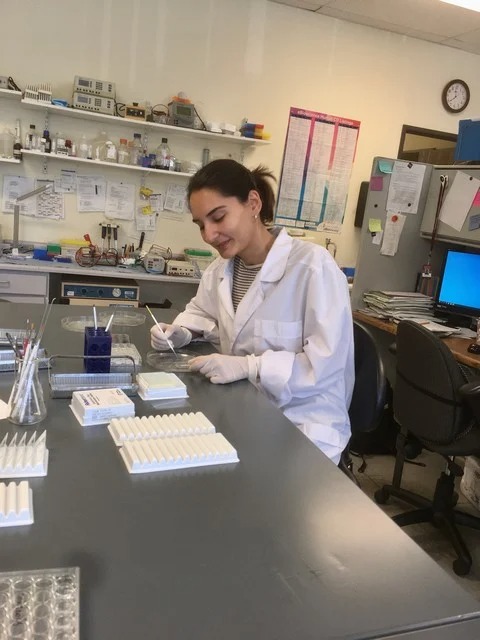 Young Armenian scientist studies Alzheimer and COVID-19 in U.S.