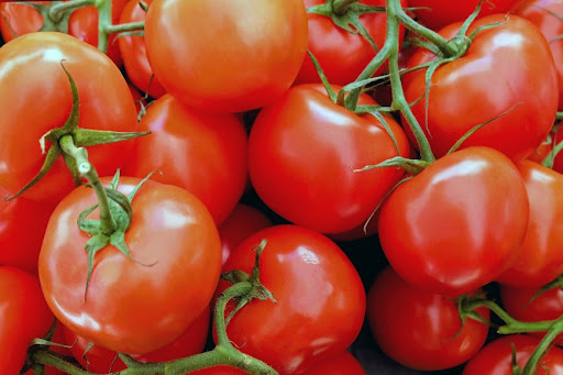 Russia says virus detected in tomatoes imported from Turkey