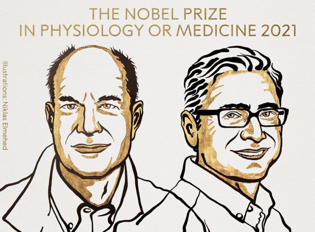 Nobel Prize in Medicine awarded to David Julius and Ardem Patapoutian