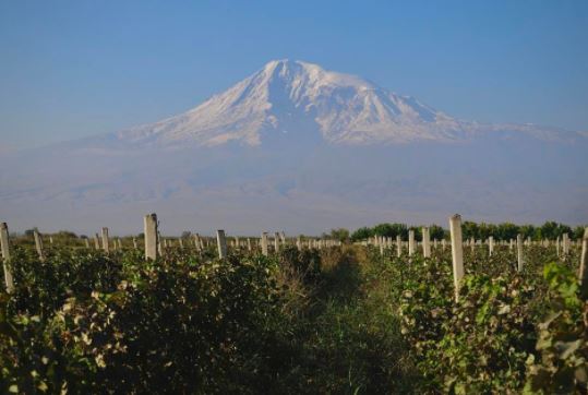 Forbes Names Armenia an Emerging Food and Wine Destination