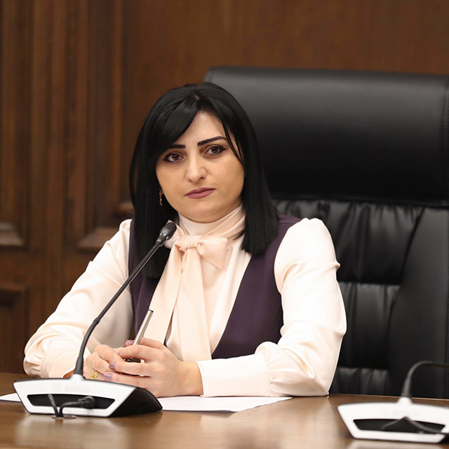 “The criminal acts by Azerbaijan will be continuous until relevant accountability mechanisms are ensured”: Taguhi Tovmasyan addressed the international organisations.