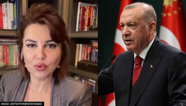 Turkish President Erdoğan sues recently arrested journalist Sedef Kabaş